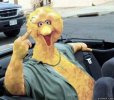 big_bird.jpg