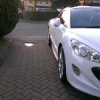 LAST ONE RCZ.jpg