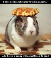 Bunny-with-waffle.jpg
