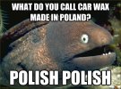 fish.jpg