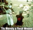 fleshwound.jpg