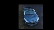 DJI_0017.jpg
