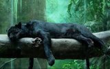LGNrelaxed.jpg