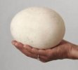 ostrichegg.jpg